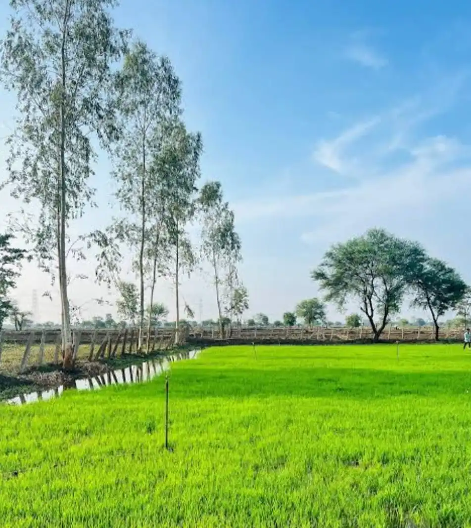 farmland-avinash-lade-nagpur